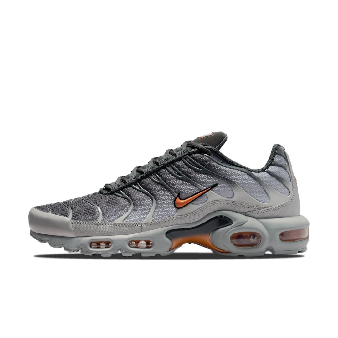 Nike Air Max Plus Light Smoke Grey Hot Curry