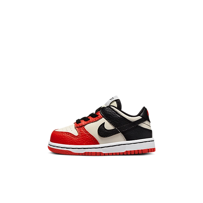 Nike Dunk Low EMB NBA 75th Anniversary Chicago (TD)