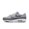 Nike Air Max 1 '87 Photon Dust Wolf Grey