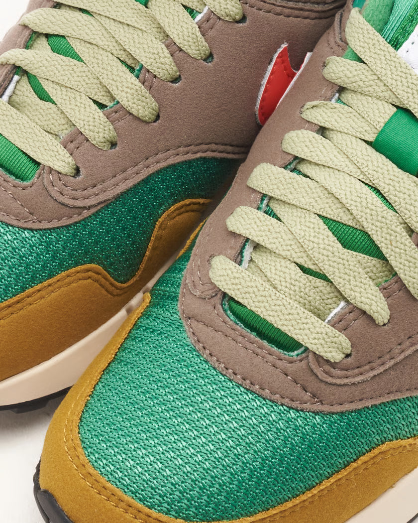 Nike Air Max 1 '86 PRM Powerwall BRS