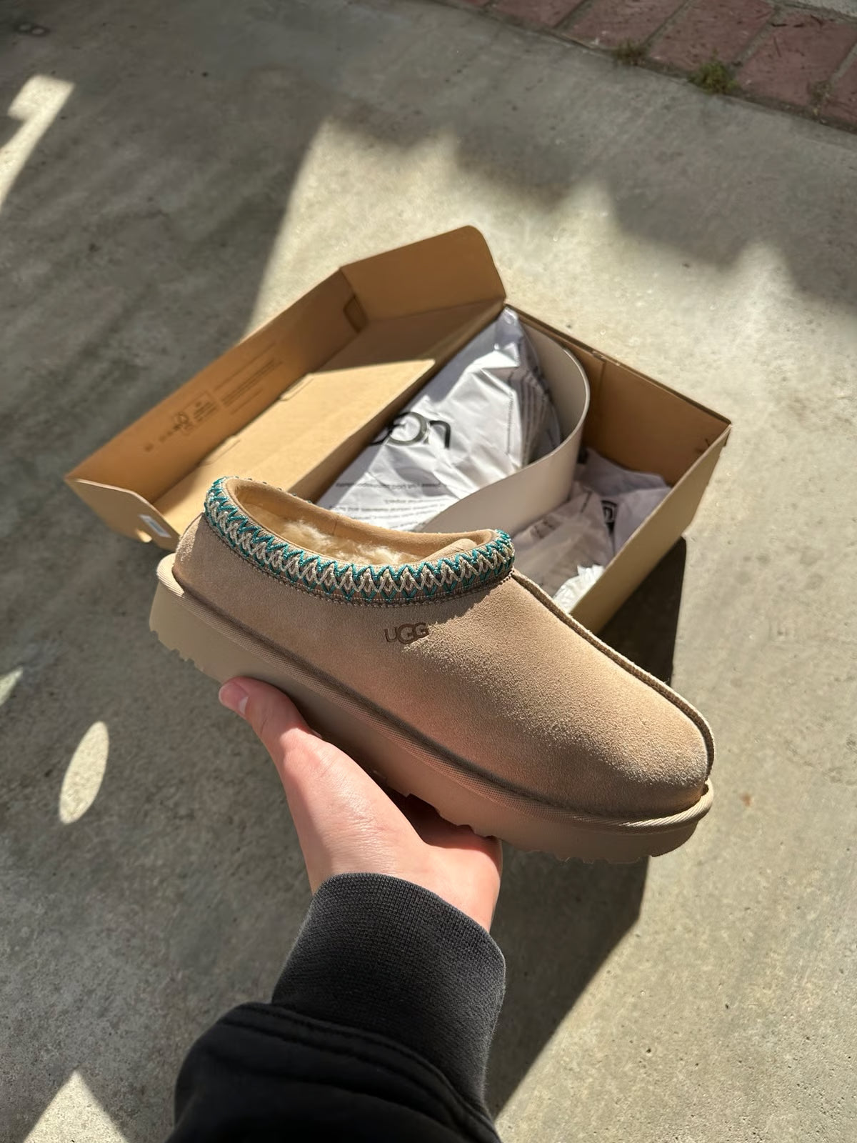 UGG Tazz Slipper Driftwood (W)